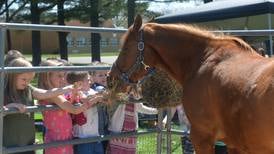 Elementary students get to pet animals, sit on farm tractors at Oregon FFA petting zoo