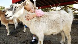 Lambs Farm celebrates autumn with special event