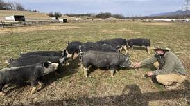 Series aims to empower farmers to implement sustainable agricultural