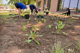 Lake in the Hills Rotary Club plants fifth pollinator garden