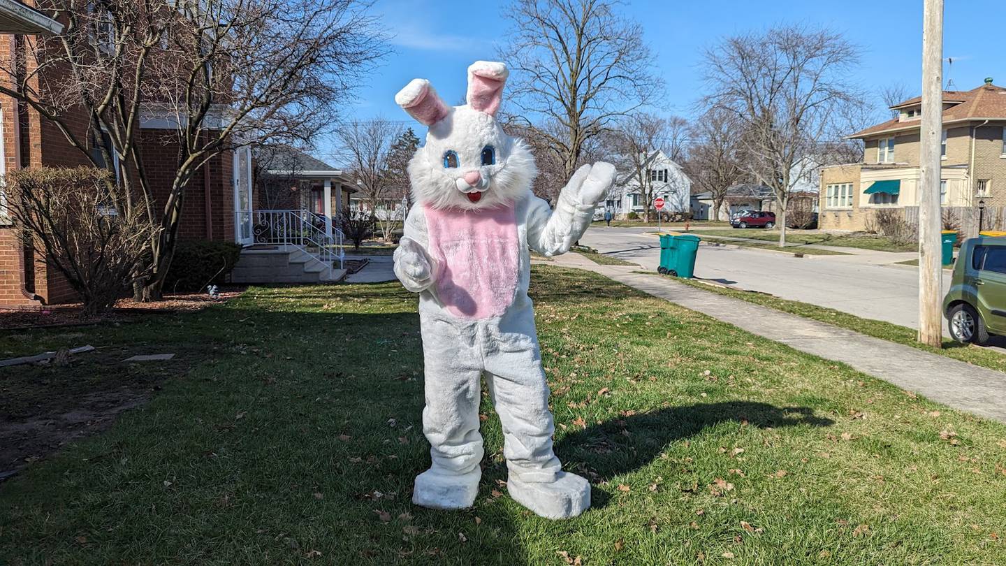 The Easter Bunny is inviting the community to Janet Palkon's 17th annual Bunny Bash, on March 23 at the Joliet Moose Lodge #300. The family friendly event is to give some Easter cheer to local families and provide for children currently in the foster care system.