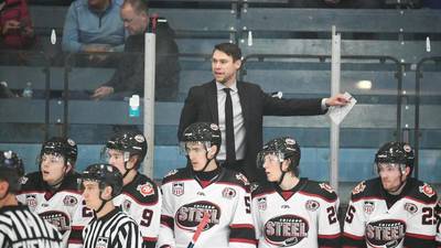 Hockey: Steel promote Brock Sheahan as new head coach