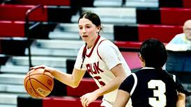 Jim Nugent, Sauk Valley Skyhawks take flight in first season