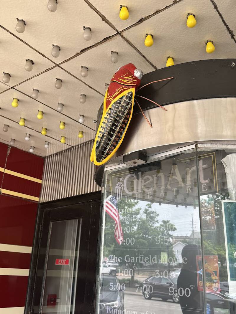 Through the end of the summer, 25 hand-painted cicada sculptures will line the streets of downtown Glen Ellyn as part of its Cicadas on Parade event.