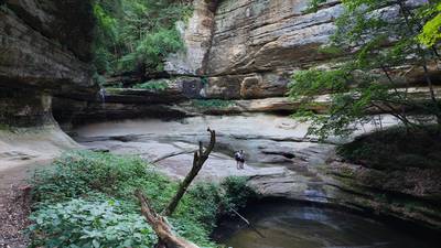 Guided canyon hikes, trolley tours and more at Starved Rock in April