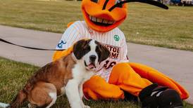Peru’s favorite pup, Haven, has her own Facebook page