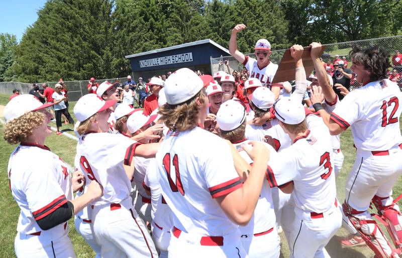 Members of the Hall baseball team celebrate after defeating Sherrard during the Class 2A Sectional final game on Saturday, May 27, 2023 at Knoxville High School.