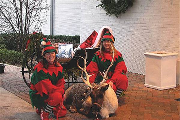 Christmas arrives at Summerfield Zoo in Belvidere