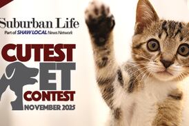 Suburban Life November Cutest Pet 