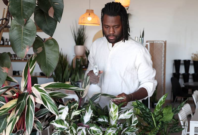 Troy Rorer, owner of The Greenhouse with his wife Kailey, sprays some of the plants Thursday, Feb. 29, 2024, at the store in Sycamore. The Greenhouse has expanded in size and will soon offer new services.