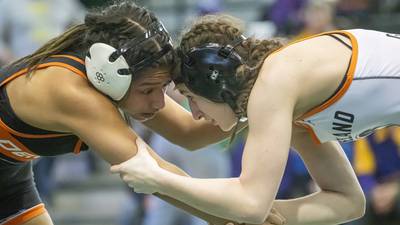 2024 Daily Chronicle Girls Wrestling All-Area Team