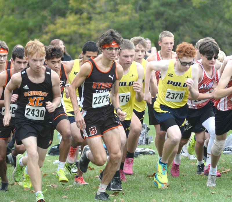 Polo-Forreston, Byron, and Amboy runners start the boys race at the Amboy Columbus Day Cross Country Invitational at Shady Oaks Country Club near Amboy on Monday, Oct. 13, 2025.