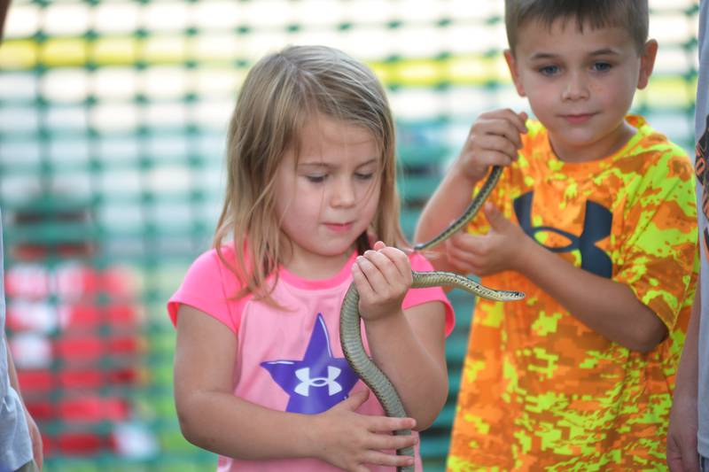 Tucker and Emilia Crase, ages 6 and 4, of Forreston, hold two snakes at the German Valley Days Petting Zoo on Saturday, July 15, 2023.