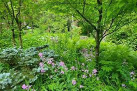 A layered landscape provides space for wildlife all year