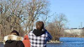 Rock Falls’ Flock to the Rock is Feb. 10