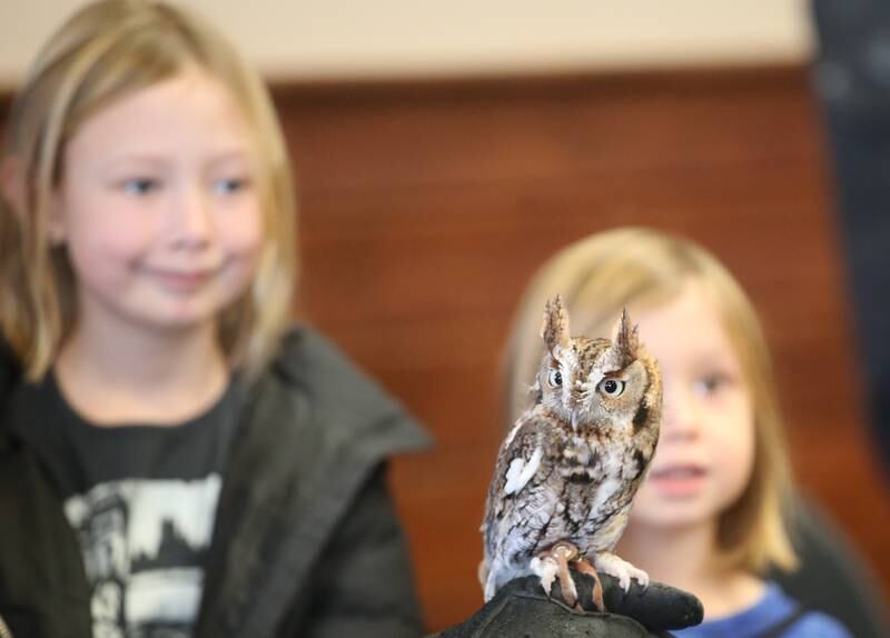 Margo Landman and her sister Remi of Brookfield, smile with a Eastern screech owl from the Illinois Raptor Center during Eagle Watch Weekend on Saturday, Jan. 25, 2025 inside the Great Hall at Starved Rock Lodge.
