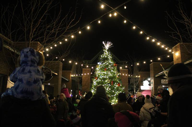 People gather to watch the tree lighting ceremony during the Downtown Crystal Lake Festival of Lights Parade on Nov. 28, 2025.