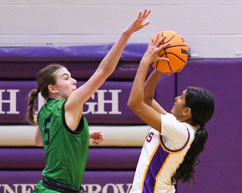 York's Avery Larma, left, blocks the shot of Downers Grove North's Urja Shah during the game on Tuesday Dec. 3, 2024, held at Downers Grove North High School.