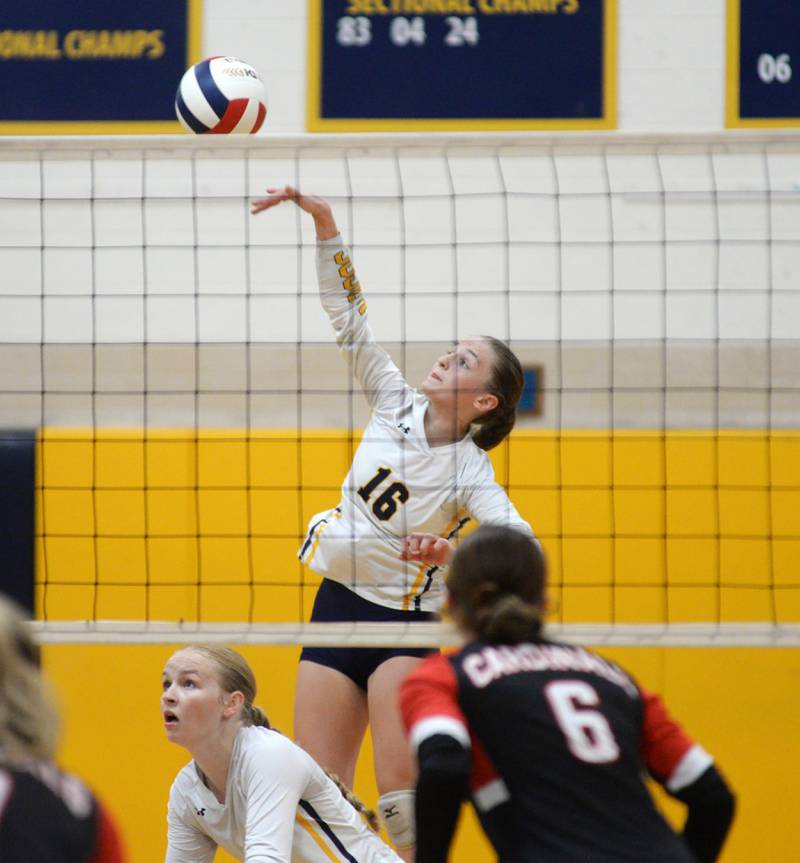 Polo's Bridget Call (16) spikes against Forreston on Wednesday, Aug. 28, 2024 st Polo High School.