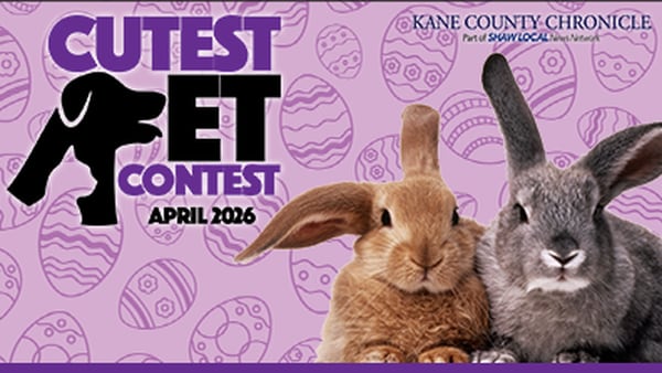 Kane April Cutest Pet Contest