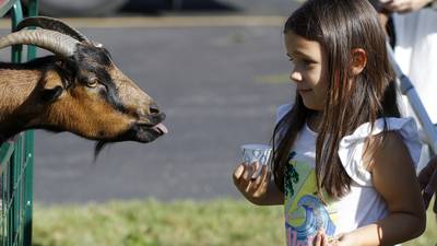 Cary Fall-A-Palooza with hayrides, crafts, pumpkins to be held Saturday