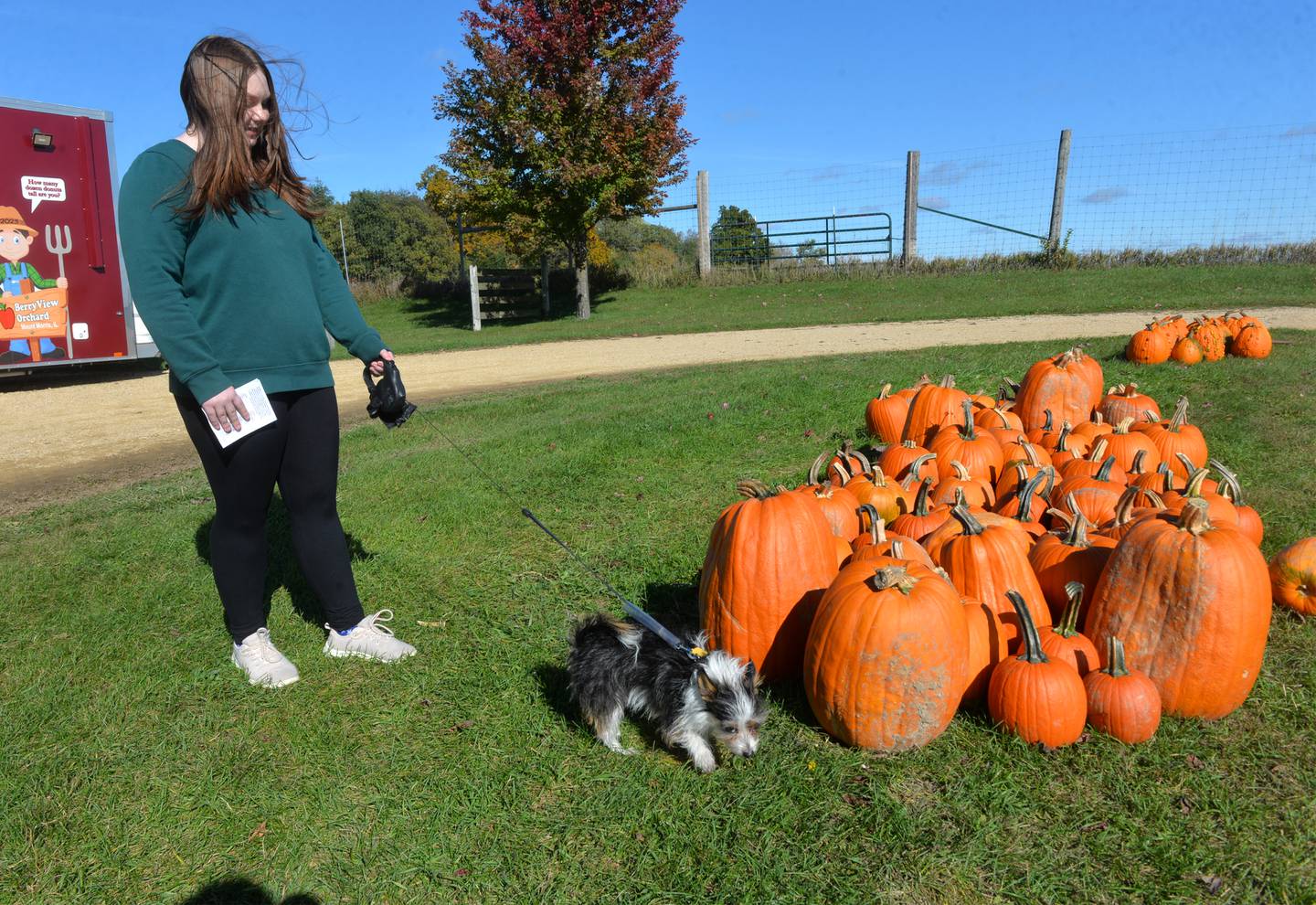 Lola Rose of Stockton lets hr dog, Oliver, sniff out some of the big pumpkins at BerryView Orchard, one of the stops on the Ogle County Farm Stroll on Sunday, Oct. 15, 2023. The orchard was one of six stops on the stroll.
