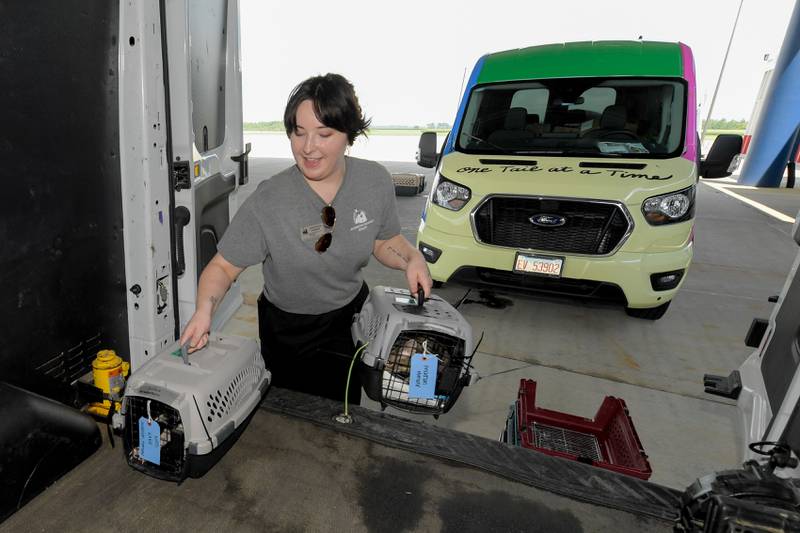 Molly Craig, Director of Animal Pathways at Anderson Humane in South Elgin, loads some dogs and cats rescued from the recent Texas Floods into a van destine for their facility in South Elgin.  The animals were flow north on a Dog Is My CoPilot flight to the Aurora Municipal Airport on Thursday, Jul 24, 2025 in Sugar Grove.