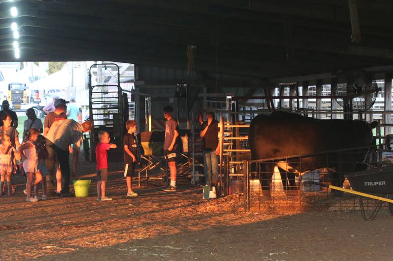 Kids walk through the beef barn during the 103rd annual Marshall-Putnam Fair on Thursday, July 18, 2024 in Henry.