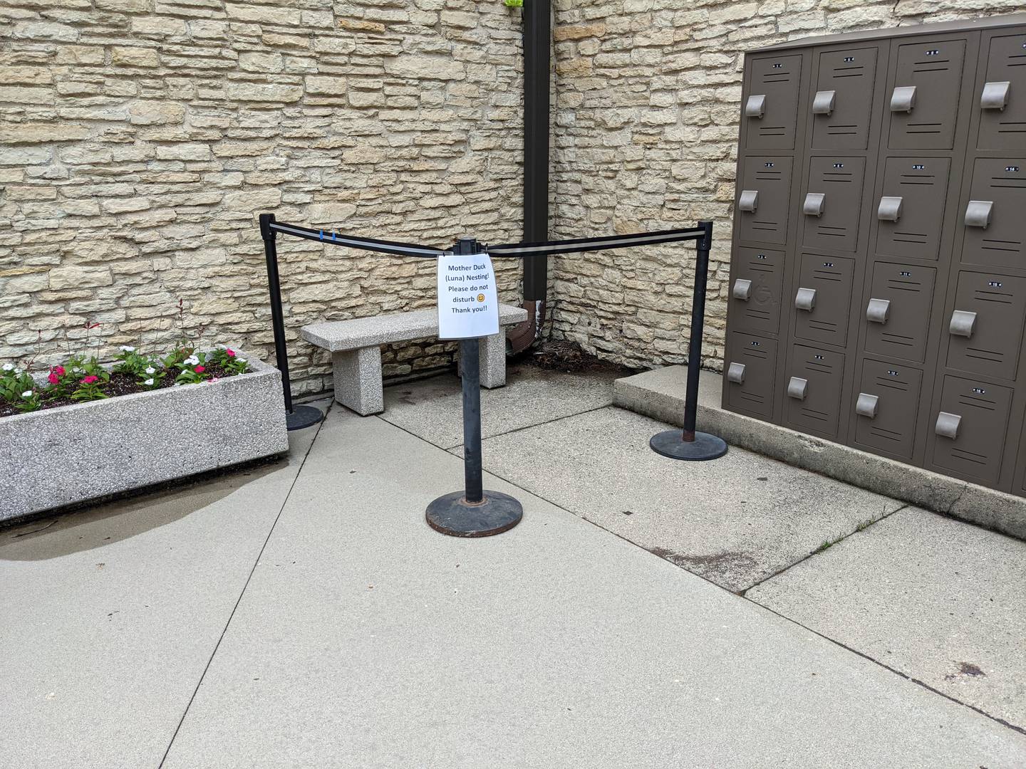 A sign protects the corner where the nest is located.