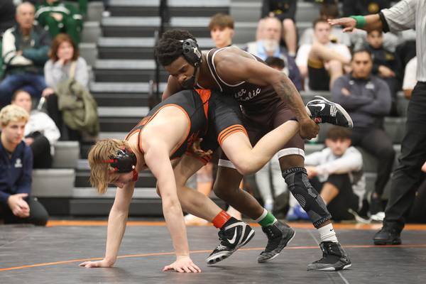 Herald-News boys individual state wrestling preview: 78 athletes aiming for titles