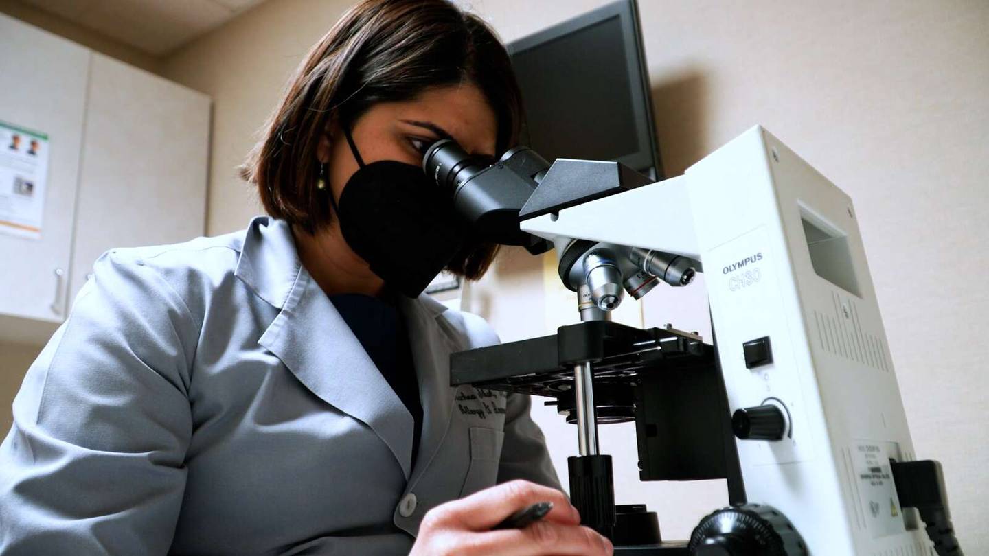 Dr. Rachna Shah, an allergist who leads the Loyola Medicine Allergy Count, takes about an hour each morning to manually count microscopic pollen grains and spores that are collected from atop the Gottlieb Memorial Hospital in Melrose Park.