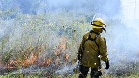 Will County forest district to address role fire plays in conservation, land management