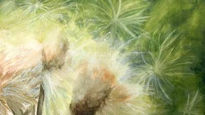 Lisa Youngdahl creates worlds with the tip of a pencil