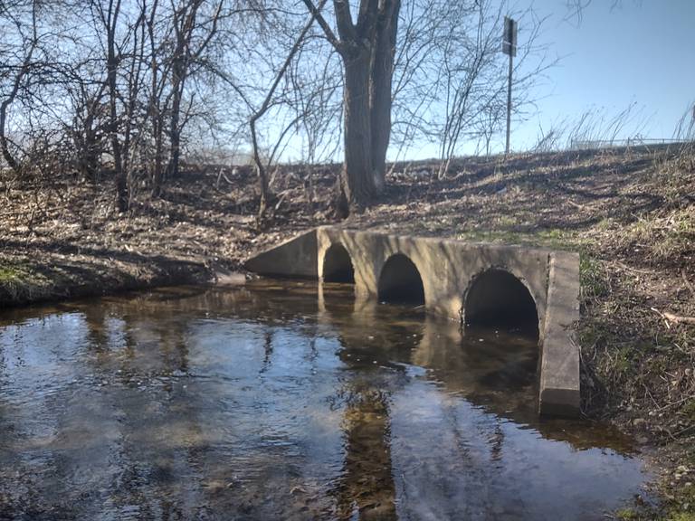 An open section of Crystal Creek in Cress Creek Park before it flows underground at the intersection of Nash Road and St. Andrews Lane.