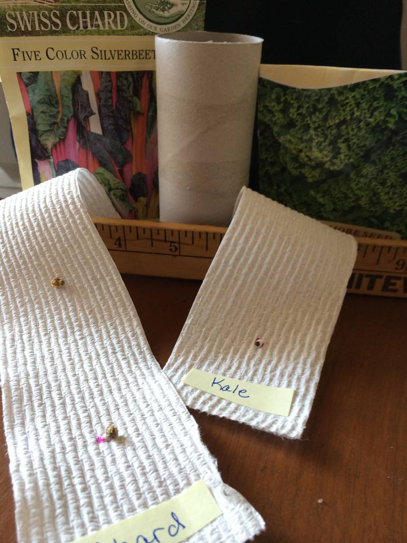 Learning to Grow How to make seed tape Shaw Local