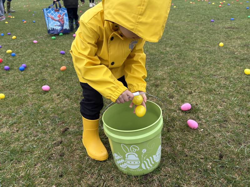Myles Glauser, 3, of Fox Lake picks eggs at the Easter Egg Hunt at Sunnyside Memorial Park in Johnsburg, Saturday, April 4, 2026.