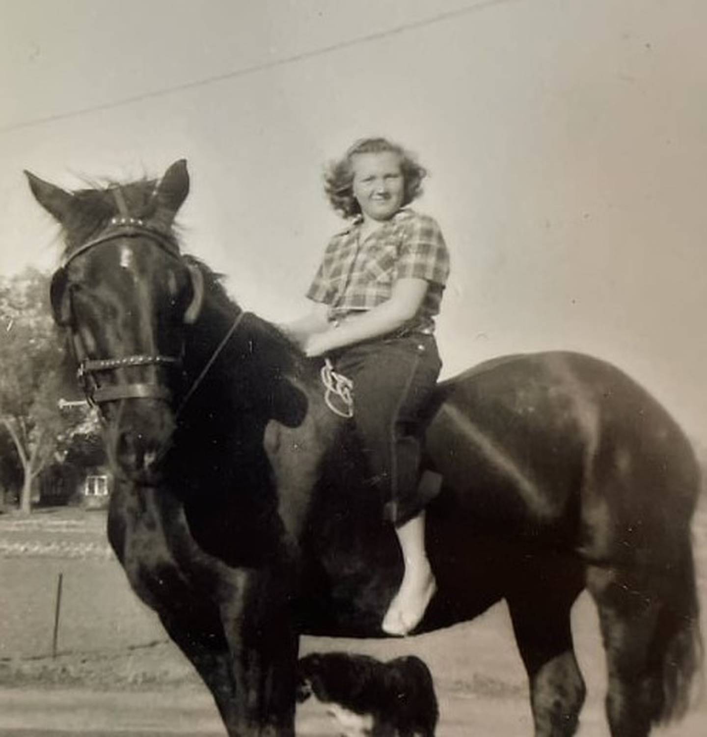 Former Wilmington resident Carol Juricic grew up on a farm in Wisconsin. She and her husband Paul cared for more than 250 foster children over 25 years.