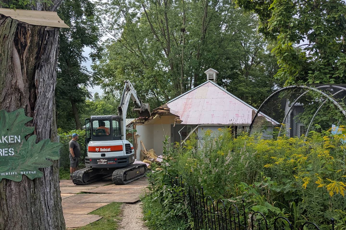 Oaken Acres Wildlife Center creating an orphaned raccoon care and rehabilitation space with a 2025 Build the Future grant