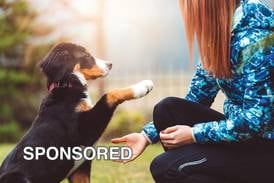 Spring Into Training: Helping Your Dog Thrive After a Long Winter