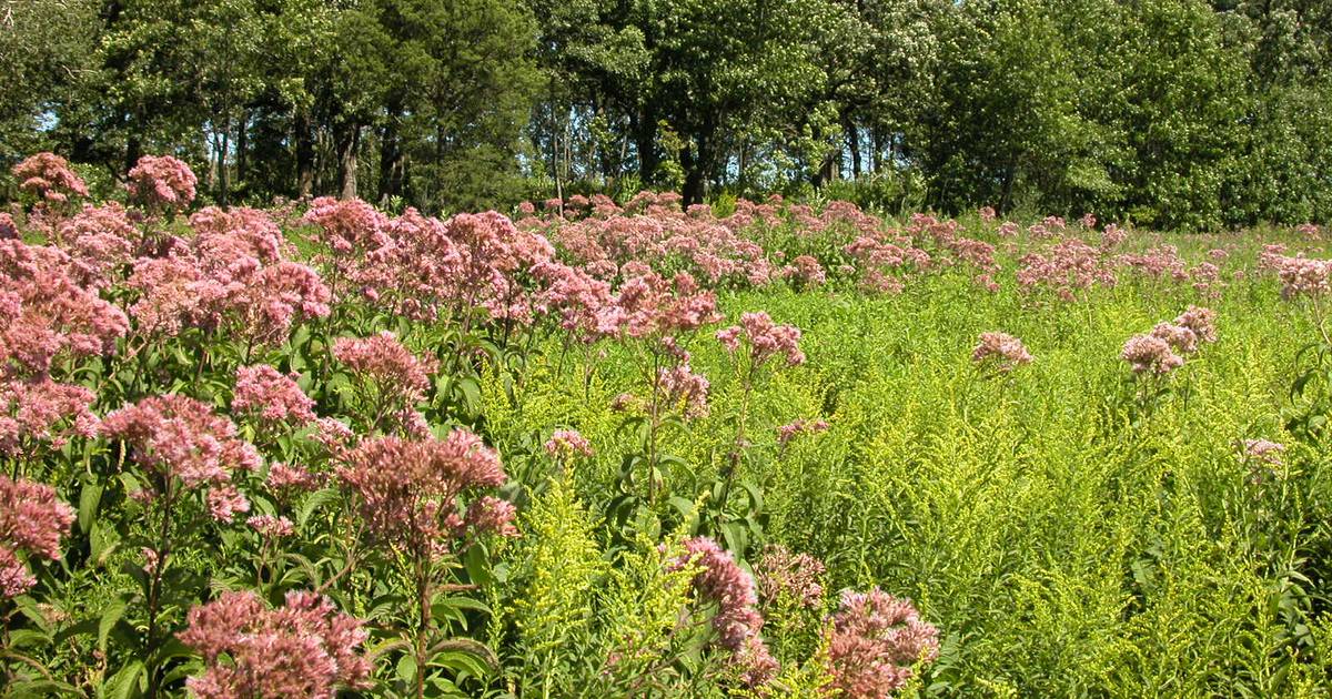 Mchenry County Conservation District Acquires 49 Acres In Mchenry