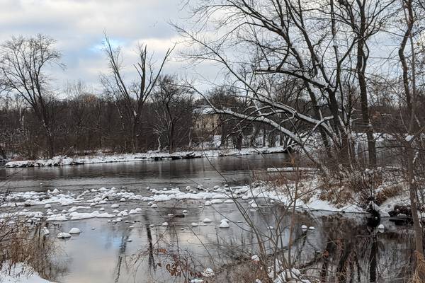 Conservation Foundation’s program at Yorkville Library uncovers Fox River’s diversity