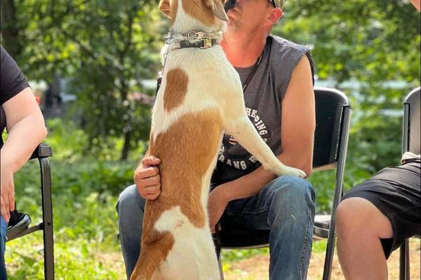 Thank You, Veterans: Dwight veteran finds healing in nature