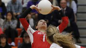 Girls volleyball: 2022 Northwest Herald All-Area team