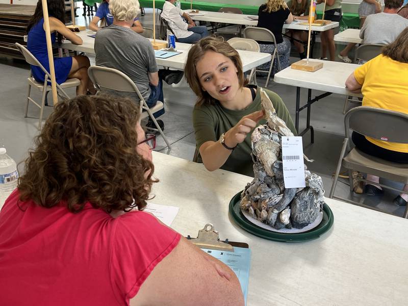 4-H teen Michaela Persico of Montgomery explains her nature art project.