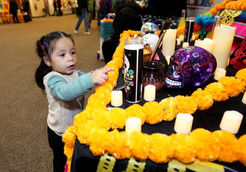 Azucena Herrera, 2, of Round Lake Beach looks at the picture on a candle sitting on an altar honoring loved ones who have passed away during the Day of the Dead Celebration at the Round Lake Beach Cultural & Civic Center. Azucena was at the event with her mother, Brenda.