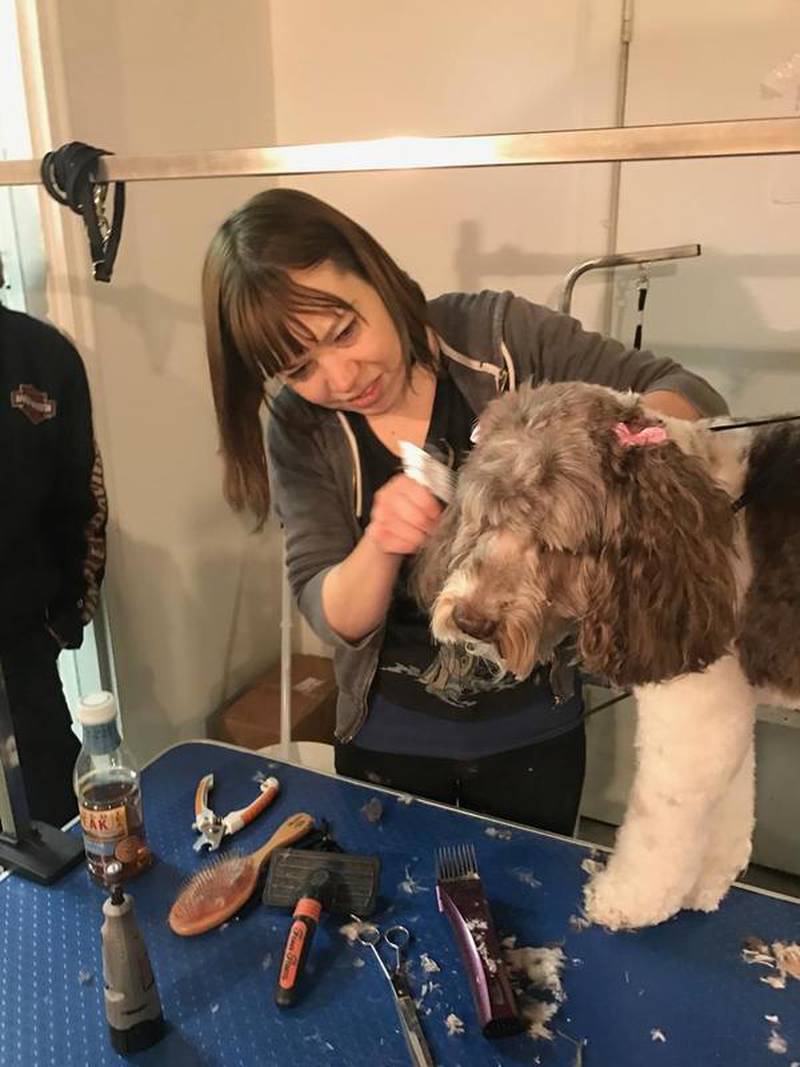 Hair of the Dog pet salon opens in Marengo Shaw Local