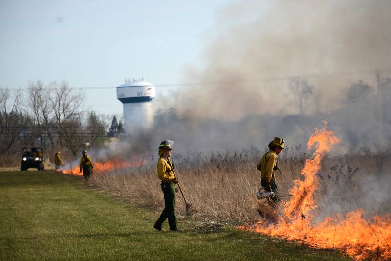 The Forest Preserve District of Kane County will conduct prescribed burns across prairies, woodlands and wetlands to promote ecological health.