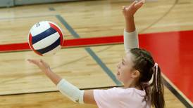 Photos: Erie-Prophetstown vs Hall volleyball