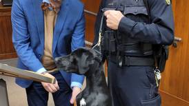 Ottawa swears in new K-9 officer