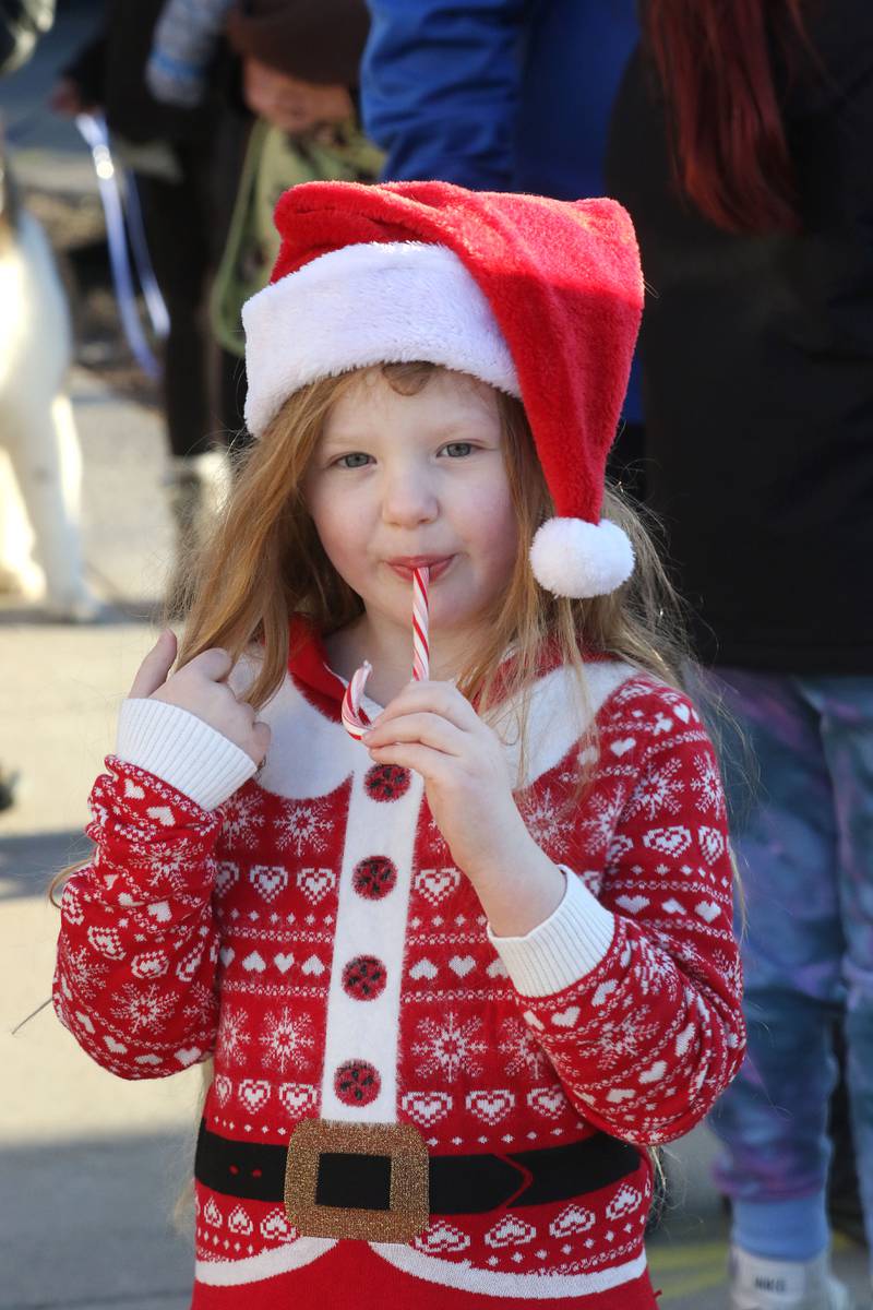 Candace H. Johnson for Shaw Local News Network
Libby Flynn, 5, of Wauconda enjoys eating her candy cane during Holiday Walk on Main in Wauconda. The event was sponsored by the Wauconda Area Chamber of Commerce. (12/4/22)
